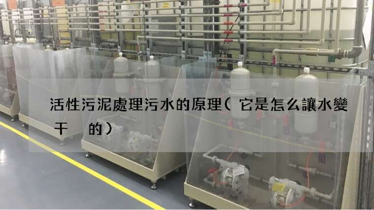 活性污泥處理污水的原理(它是怎么讓水變干凈的)
